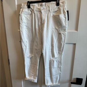 NWT STYLUS Women's Boyfriend Crop Jeans in White